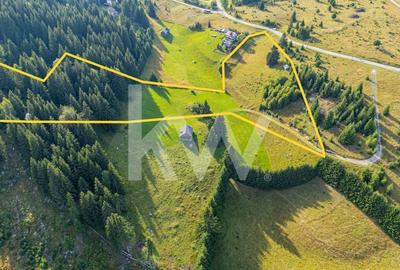 Teren Construcții intravilan de 18044 mp, în Fundata - 1