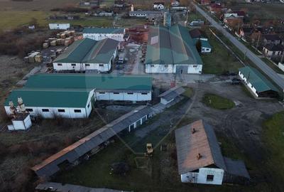 Spatiu industrial de vanzare 4,500mp HALE / 35,0000mp TEREN - 7