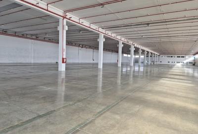 Spatiu industrial avand o hala de 2643 mp si birouri de 240 mp la 5 euro/mp Spatiu industrial avand o hala de 2643 mp si birouri de 240 mp la 5 euro/mp - 5