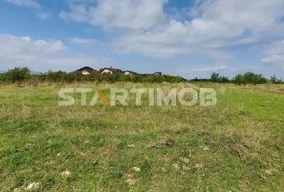 Teren de 1000 mp, în Tărlungeni