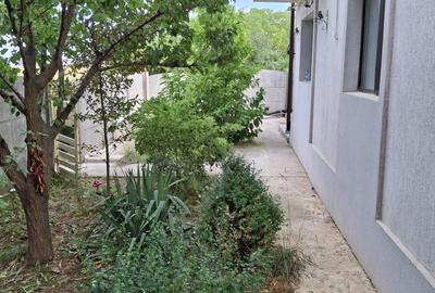 CASA LA CHEIE ! GATA DE MUTARE - 2