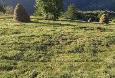 Teren de 5621 mp, în Măguri - 1