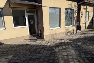 Spațiu comercial, de 120 mp, în Dosu Bricii - 2