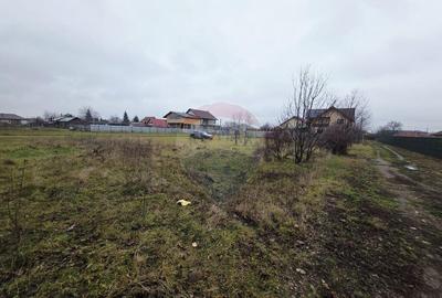 Teren 519mp Dumbrava Rosie / Strada CRANGULUI - 18