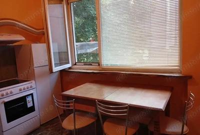 Apartament cu 1 camera in zona Sagului de inchiriat - 3