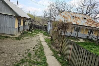 Casă cu 4 camere cu Teren 1550 Mp în Șendriceni - 4