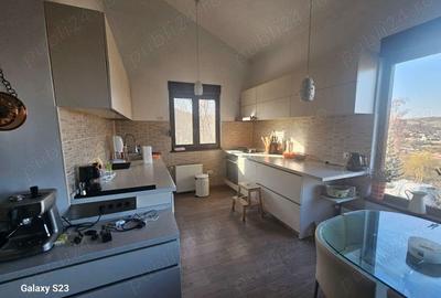 O Casa de Vis in Garcina Rasfa? in Natura! - 10