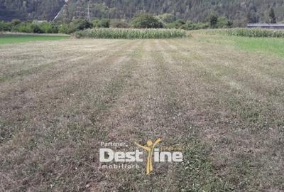 Teren Construcții intravilan de 4488 mp, în Pângărați - 3