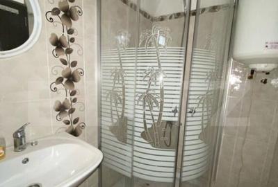 Casa Bontida cu mai multe anexe de inchiriat pe parcursul fe - 11