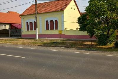 Casă cu 6 camere cu Teren 2465 Mp în Biled - 8