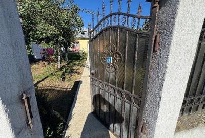 Casă cu 3 camere cu Teren 2000 Mp în Talpa - 4
