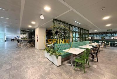 Spatiu birouri, 25 de persoane, terasa, cantina, utilitati incluse in pret Spatiu birouri, 25 de persoane, terasa, cantina, utilitati incluse in pret - 7