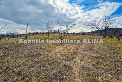 Teren în Călugareni - 9