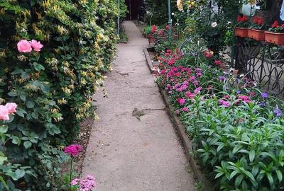 Casă cu 4 camere cu Teren 700 Mp în Cetate - 6