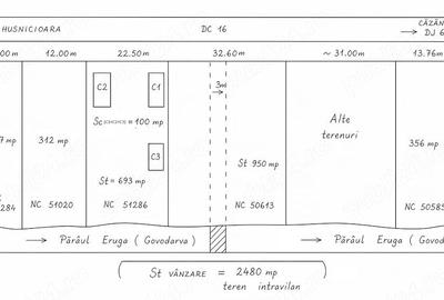 Casă cu Teren 2480 Mp în Păltinișu - 5