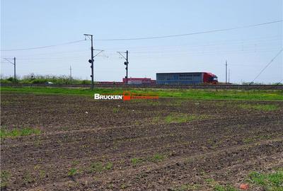 113,21 ha in nordul Aradului, la iesirea de pe drumul expres - 2