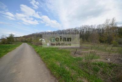 Teren Construcții intravilan de 3200 mp, în Snagov - 7