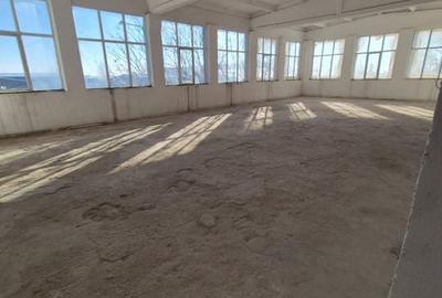 Spațiu industrial, de 3,700 mp, în Theodor Pallady - 13