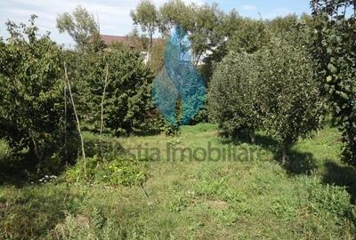 Proprietate cu 3240mp teren si casa, Barnova-Iasi. - 2