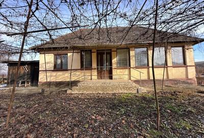 Casă cu 2 camere în Mica - 5