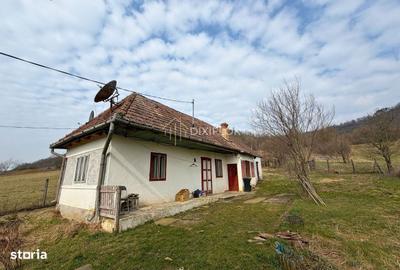 Casă cu 2 camere în Bâra - 7