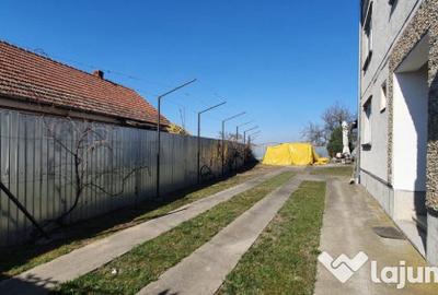 Casă cu 7 camere cu Teren 3839 Mp în Borș - 3