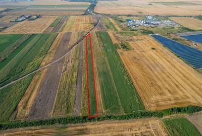 Teren 4.271 mp de vanzare  în Vladimirescu - 5
