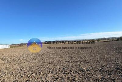 Casa Bodesti, jud. Neamt - 1