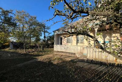 Casa strada principala 650m Horlesti Rediu Casa strada principala 650m Horlesti Rediu - 3