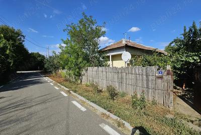 Teren 553 mp ,cu casa batraneasca Gostinu(Giurgiu) - 5