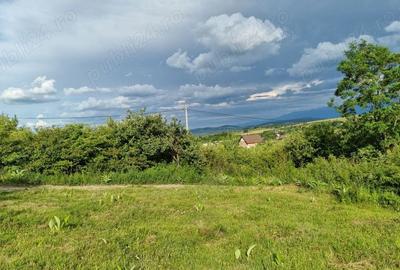 Teren de 1000 mp, în Daia - 5