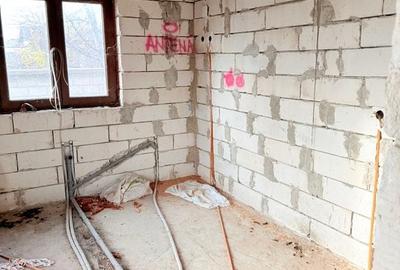 Casa cu 8800mp teren in Manastirea Doamnei - 4