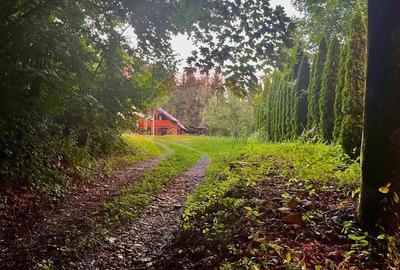 Hotel / Pensiune cu 6 camere de vanzare - 19