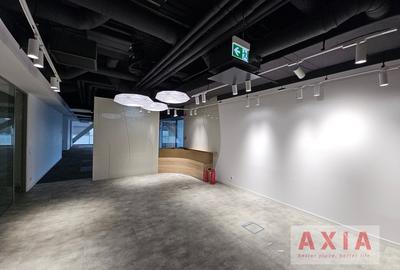 Birou premium in zona Piata Victoriei - 9