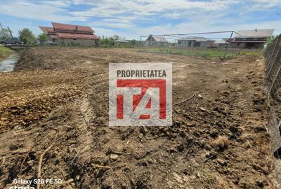 Spațiu comercial, în Cătălina - 10