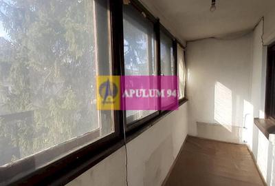 Vilă Parcul Carol - Central Vilă Parcul Carol - Central - 17