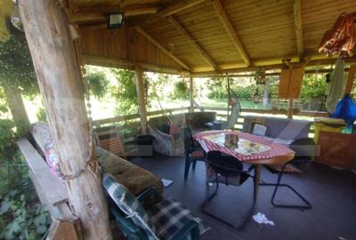 Teren extravilan 73 ari + cabana+lac de pesti,zona Slatinita - 1