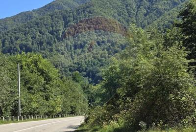 Teren 4,000mp Pascoaia / Soseaua Punctul Chiliilor - 13