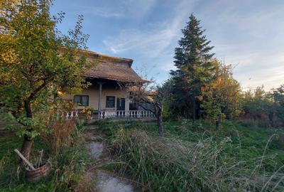 Spațiu comercial, în Cerbu - 8