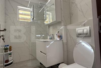 De inchiriat 2 camere la prima inchiriere, zona Carrefour C-tin Brancusi De inchiriat 2 camere la prima inchiriere, zona Carrefour C-tin Brancusi - 13