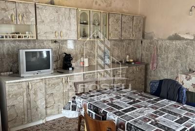 Casă individuală cu 5 camere cu Teren 3383 Mp în Remetea Mare - 6