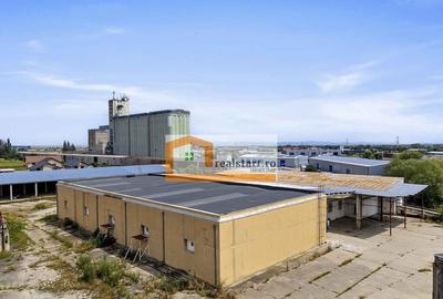 Codlea, Depozite si teren 1,7Ha, 5600mp cladiri, D 155ml ... - 8