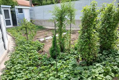 Casa de vanzare Nadastia de jos - 9