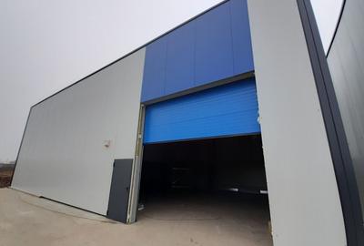 Hala noua 303mp - zona Drumul Intre Tarlale - Sos. Garii Catelu - 4