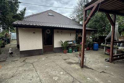 Casă cu 3 camere în Fierbinții de Jos - 5