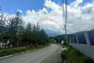 Teren Construcții intravilan de 613 mp, în Sadu - 10