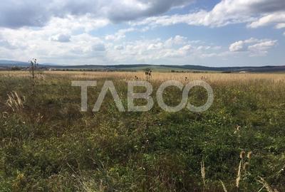 Teren intravilan cu utilitati 2269 mp 2 fronturi zona Gusterita Sibiu - 2