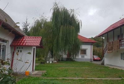 Casă cu 3 camere în Valea Brazilor - 1