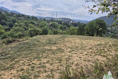 Teren intravilan pentru investitie turistica, 4000 mp, langa Club Vila Bran cu p - 2