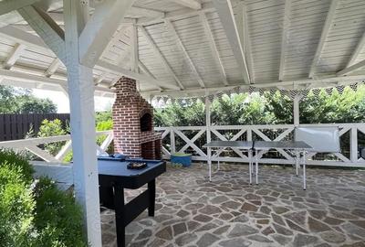 Casă cu 1 camere cu Teren 2859 Mp în Siliștea Snagovului - 5